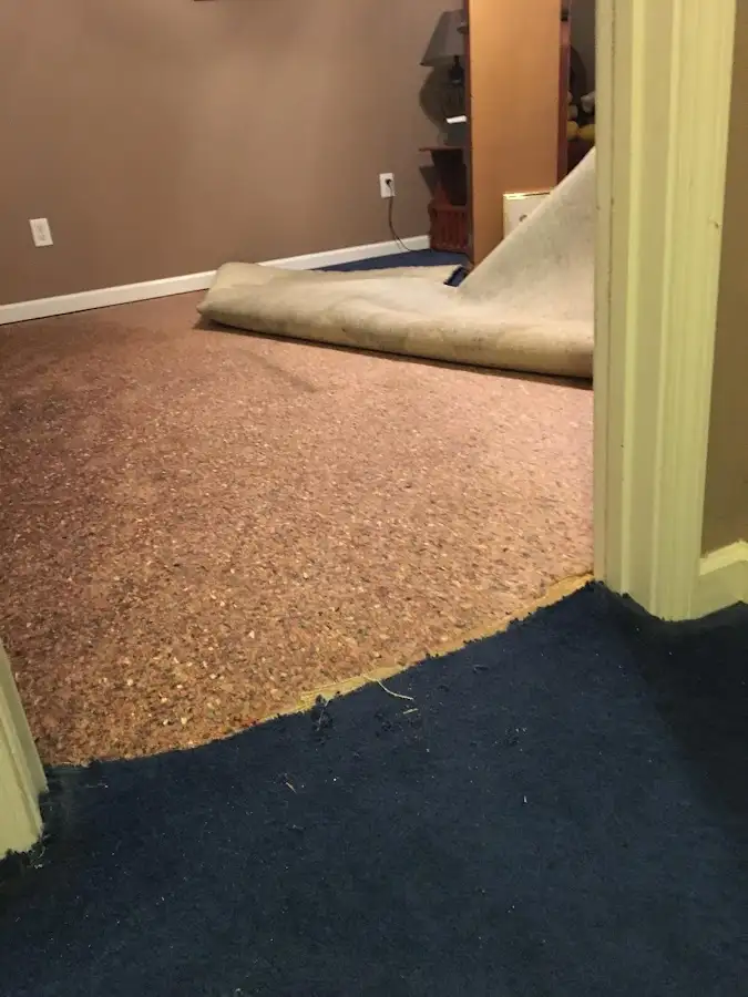 Carpet pad removal revealing water damage during Water Mitigation Services in Wayne