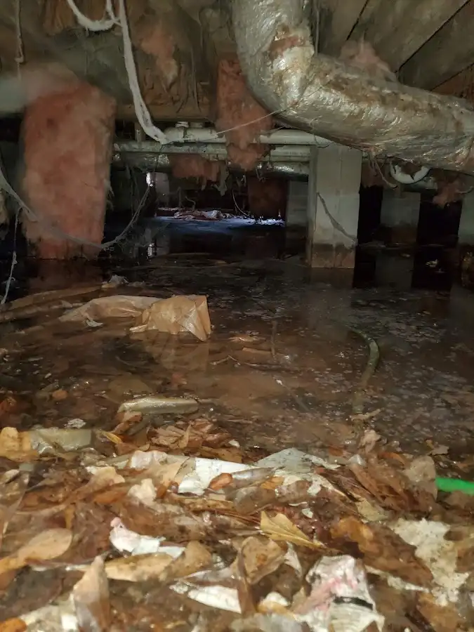 Crawl space flood assessment for Leak Detection & Repair in Wayne
